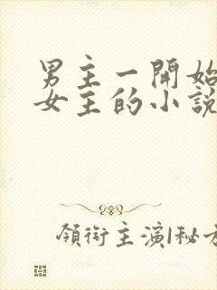 男主一开始嫌弃女主的小说