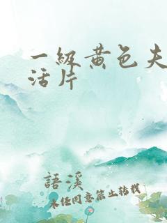 一级黄色夫妻生活片