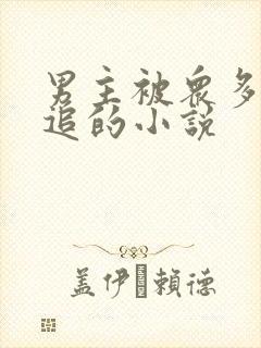 男主被众多女主追的小说