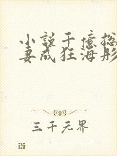 小说千亿总裁宠妻成狂海彤