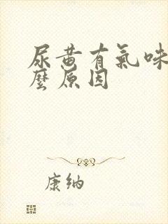 尿黄有气味是什么原因