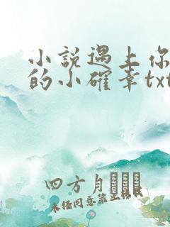 小说遇上你是我的小确幸txt下载