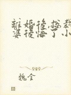 离婚后,总裁老婆后悔了小说完整