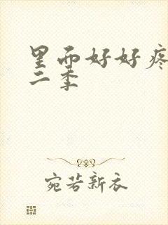 里面好好疼爱第二季