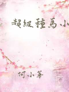 超级种马小说
