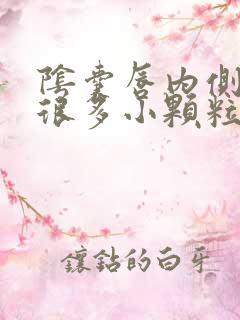 阴囊唇内侧长了很多小颗粒