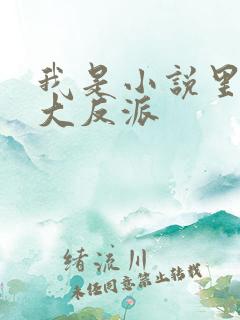 我是小说里共同大反派