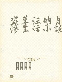 盗墓汪明月的悲惨生活小说免费阅读全文