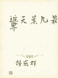 遮天叶凡最后境界