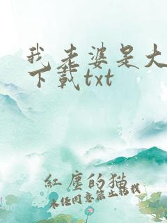 我老婆是大明星下载txt