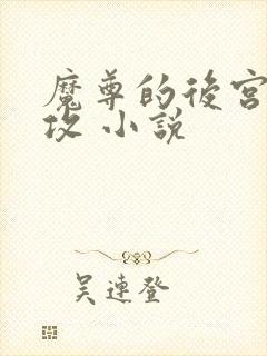 魔尊的后宫 女攻 小说