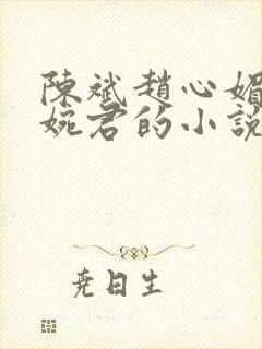 陈斌赵心媚和高婉君的小说