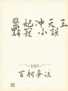 医妃冲天王爷轻点宠 小说