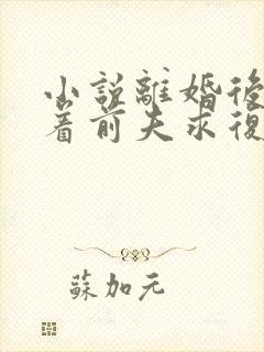 小说离婚后她追着前夫求复合