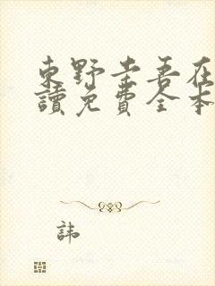 东野圭吾在线阅读免费全本