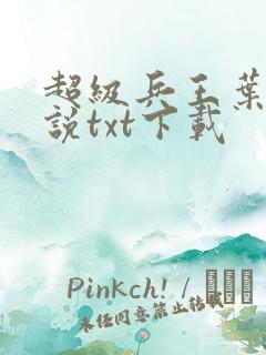 超级兵王叶谦小说txt下载