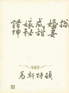 错嫁成婚总裁的神秘甜妻