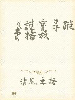 《护宝寻踪》免费播放