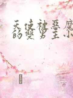 天使被恶魔囚禁的双男主小说