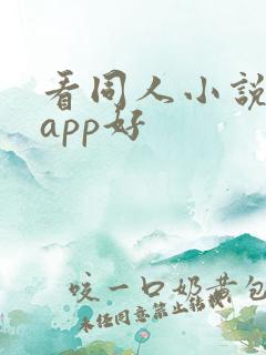 看同人小说哪个app好