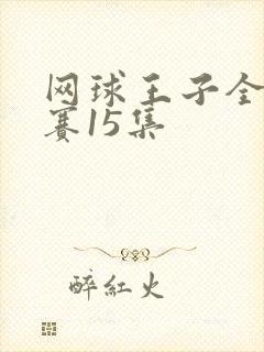 网球王子全国大赛15集