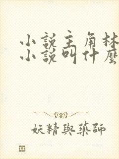 小说主角林云的小说叫什么