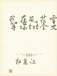 我在风花雪月里等你txt全文下载