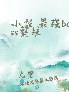 小说 最强boss系统