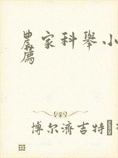 农家科举小说推荐