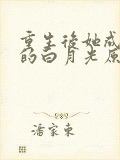 重生后她成皇帝的白月光原著作者