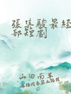 张集骏最经典十部短剧