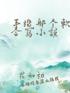 手机哪个软件适合写小说