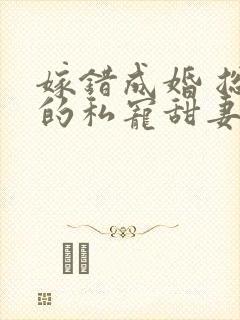 嫁错成婚 总裁的私宠甜妻