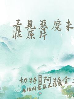 看见恶魔未删减版原片