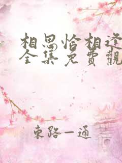 相思恰相逢短剧全集免费观看