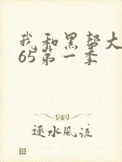 我和黑帮大佬365第一季