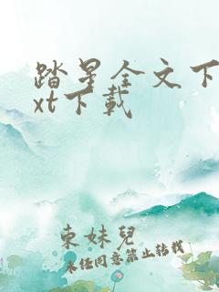 踏星全文下载txt下载