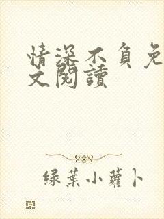 情深不负免费全文阅读