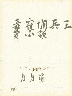 毒宠佣兵王妃免费小说