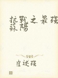 抗战之最强兵王苏阳