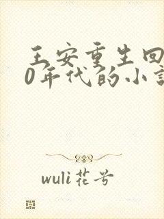 王安重生回到80年代的小说