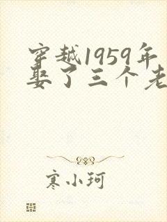 穿越1959年娶了三个老婆的小说免费阅
