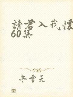请君入我怀短剧60集