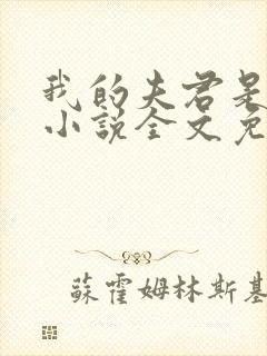 我的夫君是冥王小说全文免费阅读