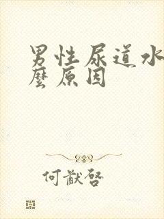 男性尿道水泡什么原因