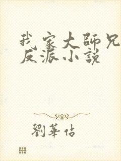 我家大师兄是个反派小说