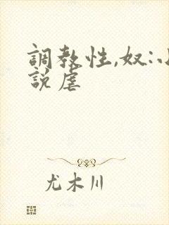 调教性,奴:小说虐