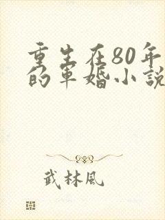 重生在80年代的军婚小说