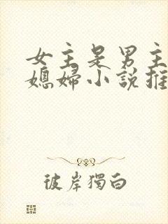 女主是男主的弟媳妇小说推荐