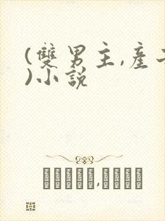 (双男主,产子)小说